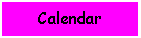 Daily schedule (lectures, labs, and assignments)